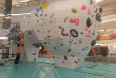 Route Setter Jepang: Panjat Tebing Nomor Boulder Berkembang Pesat di Indonesia