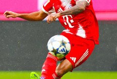 Bayern vs Lyon Jadi Penampilan Hampir Sempurna dari Luis Diaz