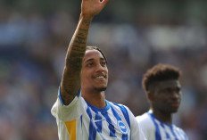 Chelsea Boyong Joao Pedro dari Brighton dengan Transfer Rp 1,3 Triliun